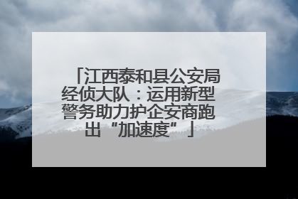 江西泰和县公安局经侦大队：运用新型警务助力护企安商跑出“加速度”