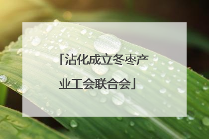 沾化成立冬枣产业工会联合会