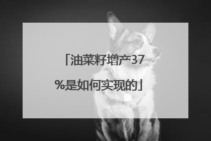 油菜籽增产37%是如何实现的