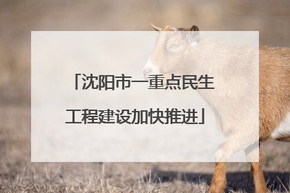 沈阳市一重点民生工程建设加快推进