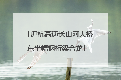 沪杭高速长山河大桥东半幅钢桁梁合龙