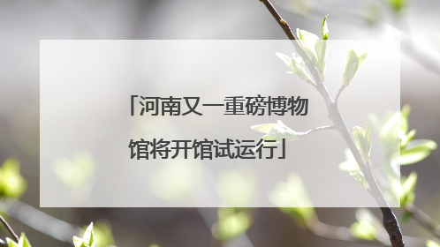 河南又一重磅博物馆将开馆试运行
