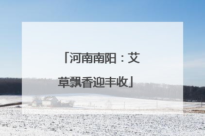 河南南阳：艾草飘香迎丰收