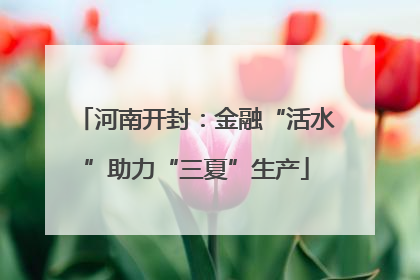 河南开封：金融“活水”助力“三夏”生产