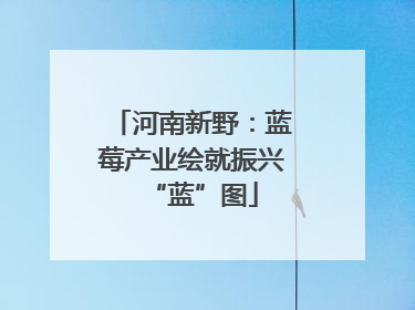 河南新野：蓝莓产业绘就振兴“蓝”图