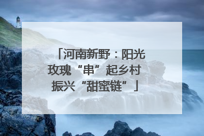 河南新野：阳光玫瑰“串”起乡村振兴“甜蜜链”