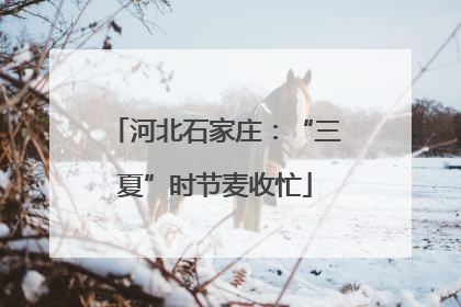 河北石家庄：“三夏”时节麦收忙