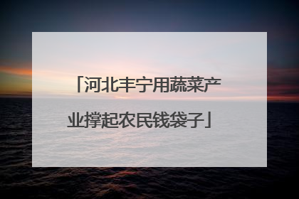 河北丰宁用蔬菜产业撑起农民钱袋子