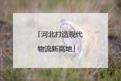 河北打造现代物流新高地