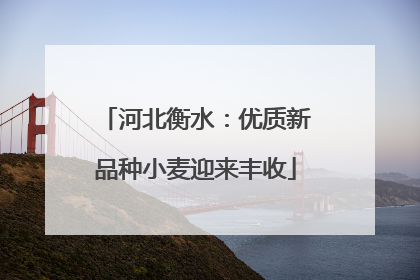 河北衡水：优质新品种小麦迎来丰收