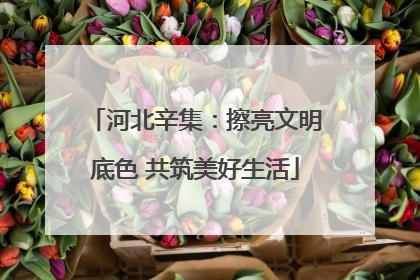 河北辛集：擦亮文明底色 共筑美好生活