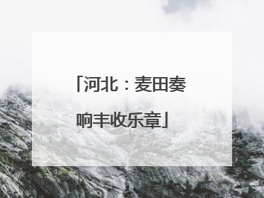 河北：麦田奏响丰收乐章
