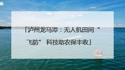 泸州龙马潭：无人机田间“飞防” 科技助农保丰收
