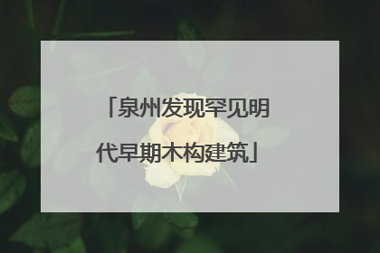 泉州发现罕见明代早期木构建筑