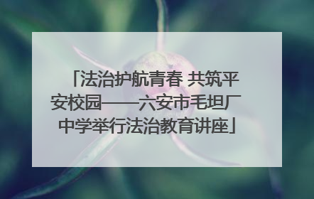 法治护航青春 共筑平安校园——六安市毛坦厂中学举行法治教育讲座