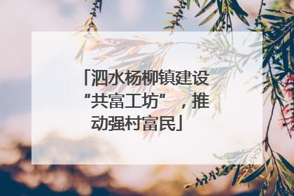泗水杨柳镇建设“共富工坊”,推动强村富民