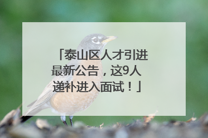 泰山区人才引进最新公告，这9人递补进入面试！
