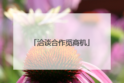 洽谈合作觅商机