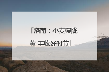 洛南：小麦覆陇黄 丰收好时节