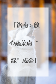 洛南：放心蔬菜点“绿”成金