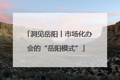 洞见岳阳丨市场化办会的“岳阳模式”