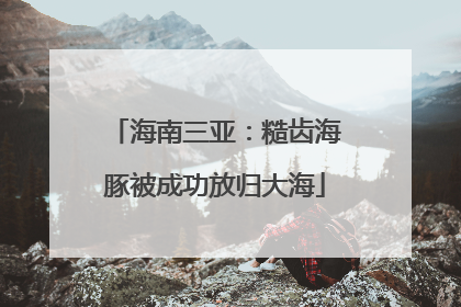 海南三亚：糙齿海豚被成功放归大海