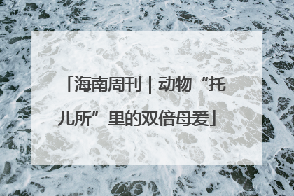 海南周刊｜动物“托儿所”里的双倍母爱