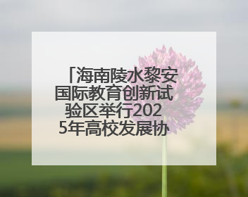 海南陵水黎安国际教育创新试验区举行2025年高校发展协同圆桌会会议
