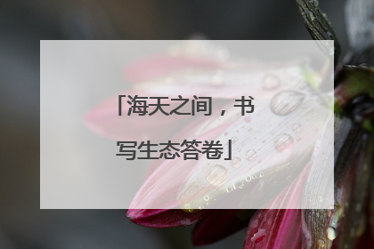 海天之间，书写生态答卷