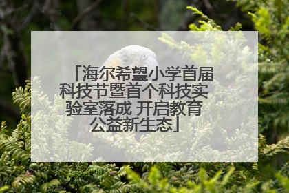海尔希望小学首届科技节暨首个科技实验室落成 开启教育公益新生态