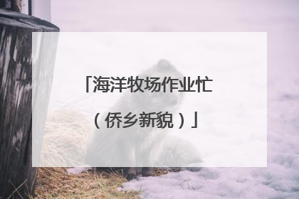 海洋牧场作业忙（侨乡新貌）