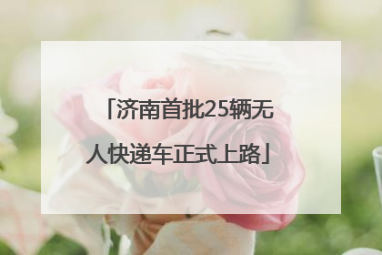 济南首批25辆无人快递车正式上路