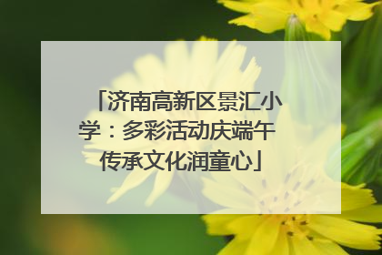 济南高新区景汇小学：多彩活动庆端午 传承文化润童心