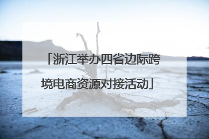 浙江举办四省边际跨境电商资源对接活动