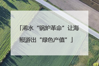 浠水“锅炉革命”让海鳗游出“绿色产值”