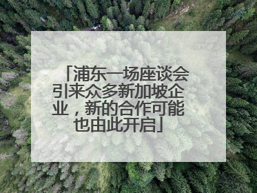 浦东一场座谈会引来众多新加坡企业，新的合作可能也由此开启