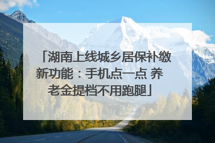 湖南上线城乡居保补缴新功能：手机点一点 养老金提档不用跑腿