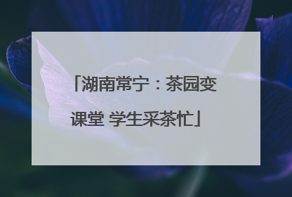 湖南常宁：茶园变课堂 学生采茶忙