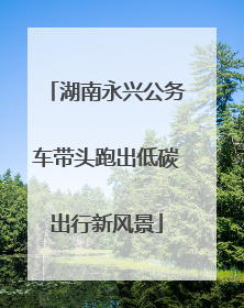 湖南永兴公务车带头跑出低碳出行新风景