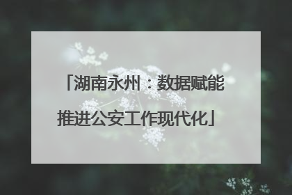 湖南永州：数据赋能推进公安工作现代化
