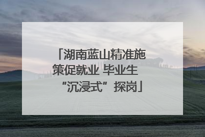 湖南蓝山精准施策促就业 毕业生“沉浸式”探岗