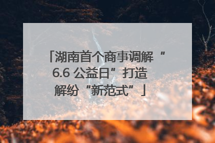 湖南首个商事调解“6.6 公益日”打造解纷“新范式”