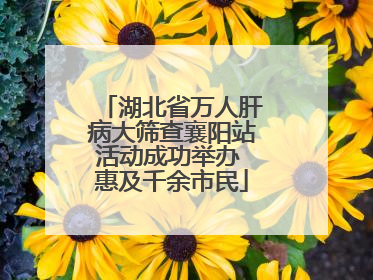 湖北省万人肝病大筛查襄阳站活动成功举办 惠及千余市民