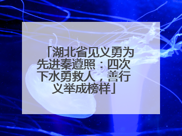 湖北省见义勇为先进秦遵照：四次下水勇救人，善行义举成榜样