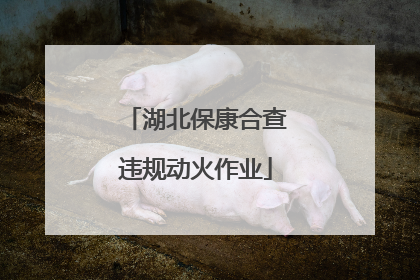 湖北保康合查违规动火作业