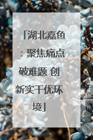 湖北嘉鱼：聚焦痛点破难题 创新实干优环境