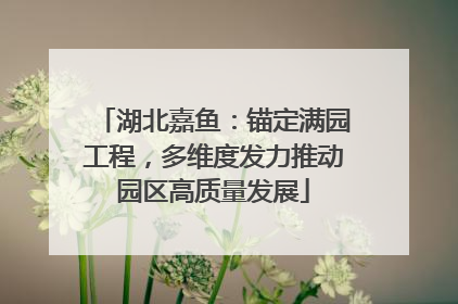 湖北嘉鱼：锚定满园工程，多维度发力推动园区高质量发展
