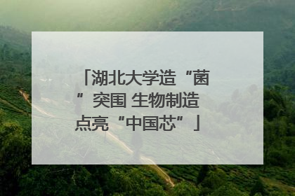 湖北大学造“菌”突围 生物制造点亮“中国芯”