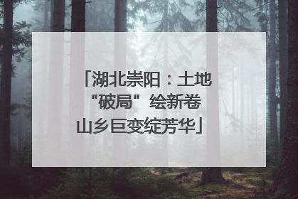 湖北崇阳：土地“破局”绘新卷 山乡巨变绽芳华