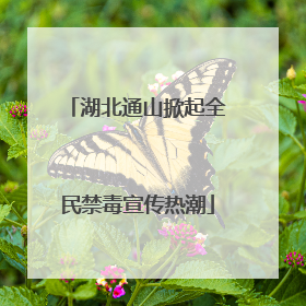 湖北通山掀起全民禁毒宣传热潮